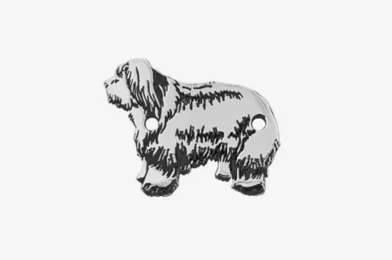 Staroangleški ovčar 2