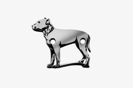 Staffordshire terier 2